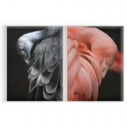 Quadro Decorativo Aves - 2 Telas Comercial Ramos