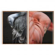 Quadro Decorativo Aves - 2 Telas Comercial Ramos