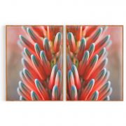 Quadro Decorativo Botão de Flor - 2 Telas Comercial Ramos