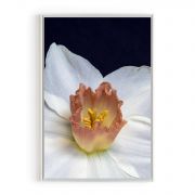 Quadro Decorativo Daffodil Comercial Ramos