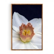 Quadro Decorativo Daffodil Comercial Ramos