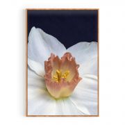 Quadro Decorativo Daffodil Comercial Ramos