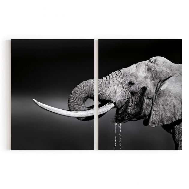 Quadro Decorativo Elefante - 2 Telas Comercial Ramos