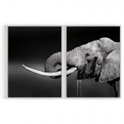 Quadro Decorativo Elefante - 2 Telas Comercial Ramos