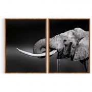 Quadro Decorativo Elefante - 2 Telas Comercial Ramos