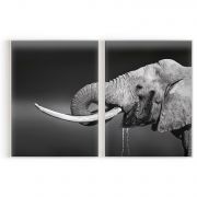 Quadro Decorativo Elefante - 2 Telas Comercial Ramos