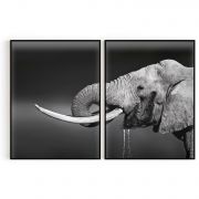 Quadro Decorativo Elefante - 2 Telas Comercial Ramos