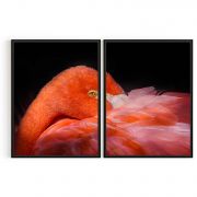 Quadro Decorativo Flamingo II - 2 Telas Comercial Ramos