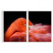 Quadro Decorativo Flamingo II - 2 Telas Comercial Ramos