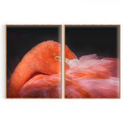 Quadro Decorativo Flamingo II - 2 Telas Comercial Ramos