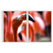 Quadro Decorativo Flamingo - 2 Telas Comercial Ramos