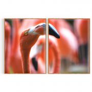 Quadro Decorativo Flamingo - 2 Telas Comercial Ramos