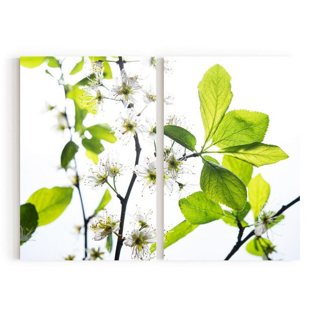 Quadro Decorativo Flor de Cerejeira - 2 Telas Comercial Ramos