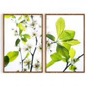 Quadro Decorativo Flor de Cerejeira - 2 Telas Comercial Ramos