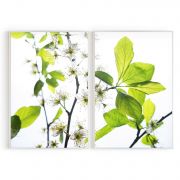 Quadro Decorativo Flor de Cerejeira - 2 Telas Comercial Ramos