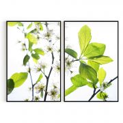 Quadro Decorativo Flor de Cerejeira - 2 Telas Comercial Ramos