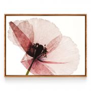 Quadro Decorativo Flor de Papoila Comercial Ramos