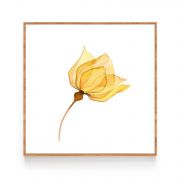 Quadro Decorativo Flores Delicadas Comercial Ramos