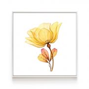 Quadro Decorativo Flores Delicadas ll Comercial Ramos