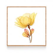 Quadro Decorativo Flores Delicadas ll Comercial Ramos