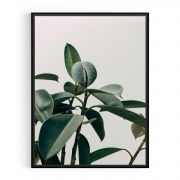 Quadro Decorativo Folha de Ficus Comercial Ramos