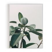 Quadro Decorativo Folha de Ficus Comercial Ramos