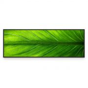 Quadro Decorativo Folha Verde Comercial Ramos