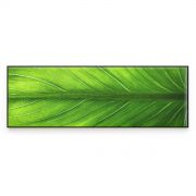 Quadro Decorativo Folha Verde Comercial Ramos