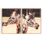 Quadro Decorativo Girafas - 2 Telas Comercial Ramos