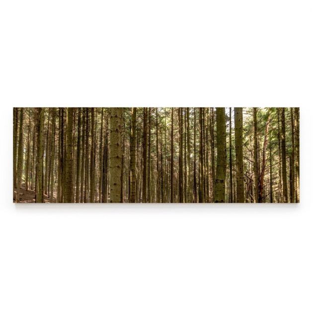 Quadro Decorativo Hardwood Forest Comercial Ramos