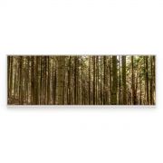 Quadro Decorativo Hardwood Forest Comercial Ramos