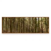 Quadro Decorativo Hardwood Forest Comercial Ramos