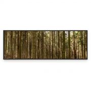 Quadro Decorativo Hardwood Forest Comercial Ramos