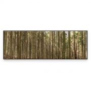 Quadro Decorativo Hardwood Forest Comercial Ramos