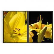 Quadro Decorativo Lirio Amarelo - 2 Telas Comercial Ramos