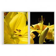 Quadro Decorativo Lirio Amarelo - 2 Telas Comercial Ramos