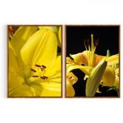 Quadro Decorativo Lirio Amarelo - 2 Telas Comercial Ramos