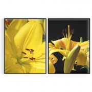 Quadro Decorativo Lirio Amarelo - 2 Telas Comercial Ramos