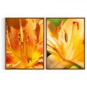 Quadro Decorativo Lirio de Fogo - 2 Telas Comercial Ramos