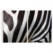 Quadro Decorativo Zebra - 2 Telas Comercial Ramos