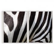 Quadro Decorativo Zebra - 2 Telas Comercial Ramos