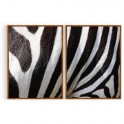 Quadro Decorativo Zebra - 2 Telas Comercial Ramos