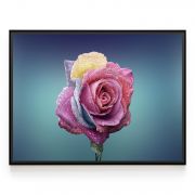 Quadro Decorativo Rosa Pétalas Coloridas Comercial Ramos