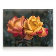 Quadro Decorativo Rosas Comercial Ramos