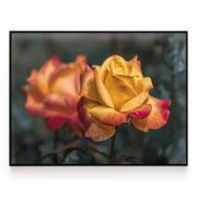 Quadro Decorativo Rosas Comercial Ramos