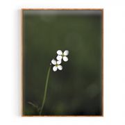 Quadro Decorativo Stellaria Comercial Ramos