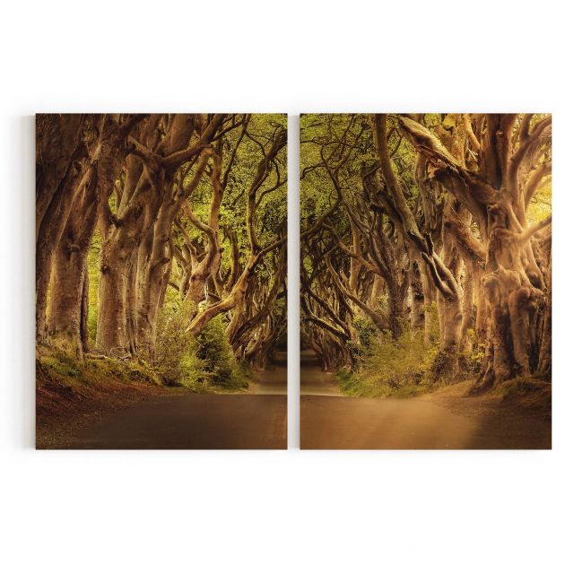 Quadro Decorativo Tronco ao Caminho -2 Telas Comercial Ramos