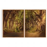 Quadro Decorativo Tronco ao Caminho -2 Telas Comercial Ramos