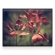 Quadro Decorativo Tulipa Vermelha Comercial Ramos