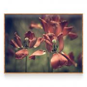 Quadro Decorativo Tulipa Vermelha Comercial Ramos